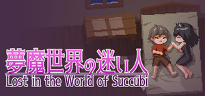 Lost in the World of Succubi banner