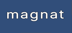 magnat banner