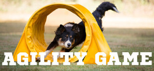 Agility Game banner