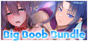 Big Boob Bundle banner