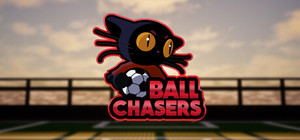 Ball Chasers banner
