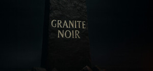Granite Noir: The Social Experiment banner