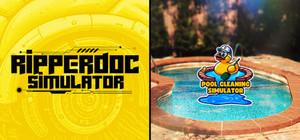 Ripperdoc Simulator and Pool Cleaning banner
