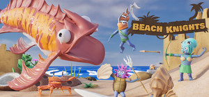 Beach Knights banner