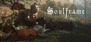 Soulframe banner