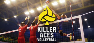 Killer Aces Volleyball banner