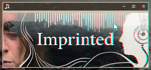 Imprinted banner