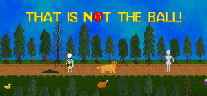 That is not the ball! banner