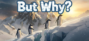 But Why? banner