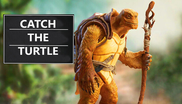 Catch the Turtle