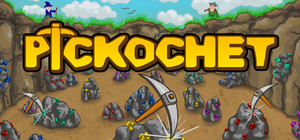 Pickochet banner