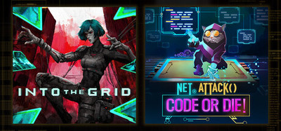 Into The Grid & Net.Attack()