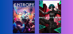 Entropy Survivors x Into the Grid banner