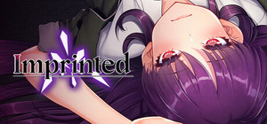 Imprinted banner