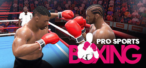 Pro Sports Boxing banner