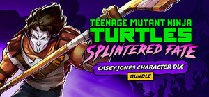 TMNT: Splintered Fate and Casey Jones banner