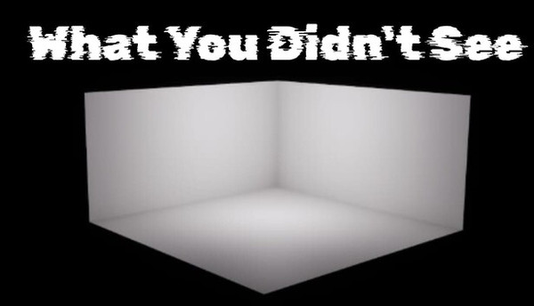 What You Didn't See