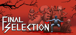 Final Selection banner