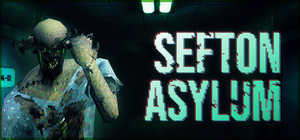 Sefton Asylum banner