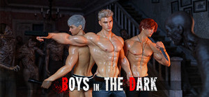 Boys in the dark banner
