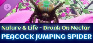Peacock Jumping Spider - Drunk On Nectar banner