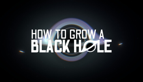 How To Grow a Black Hole