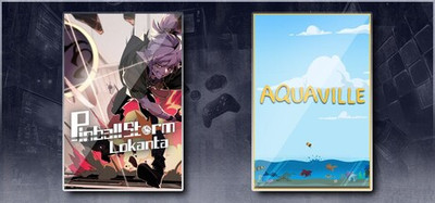 Aquaville&Pinball Storm: Lokanta