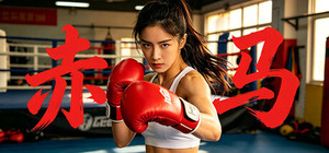 赤马 banner