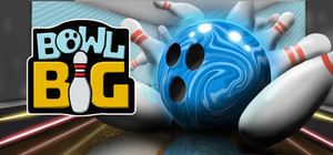 Bowl Big banner