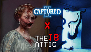 MORE ANOMALIES: Captured 2 x The 18th Attic banner