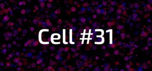 Cell #31 banner
