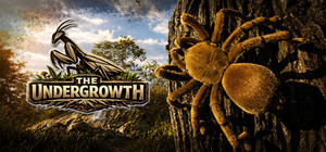 The Undergrowth banner