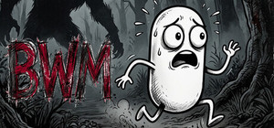 BWM banner