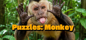 Puzzles: Monkey banner