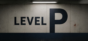 Level P banner