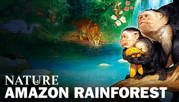 Nature Amazon Rainforest Module