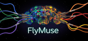 FlyMuse banner