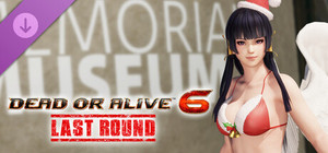 Santa Bikini - Nyotengu banner