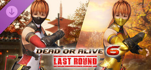 Morphing Ninja Costume - Kasumi banner