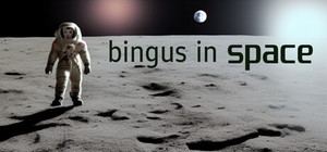 Bingus In Space banner