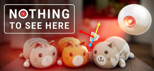 Nothing to See Here banner