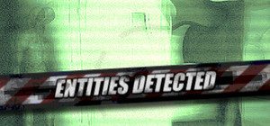Entities Detected banner