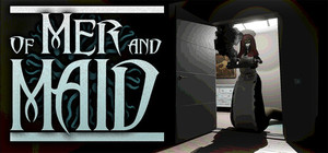 of MER and MAID banner