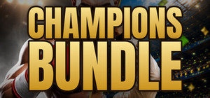 Champions banner