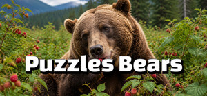 Puzzles Bears banner
