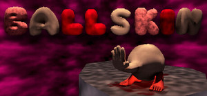 BALLSKIN banner