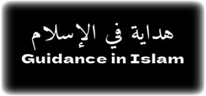 Guidance in Islam banner