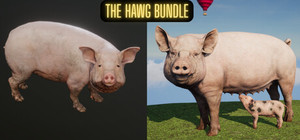 The Hawg banner