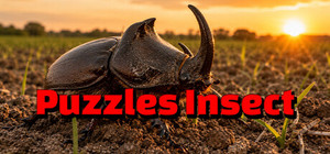 Puzzles Insect banner