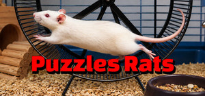 Puzzles Rats banner